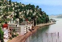 Hop-on Hop-off Muir Woods from Sausalito